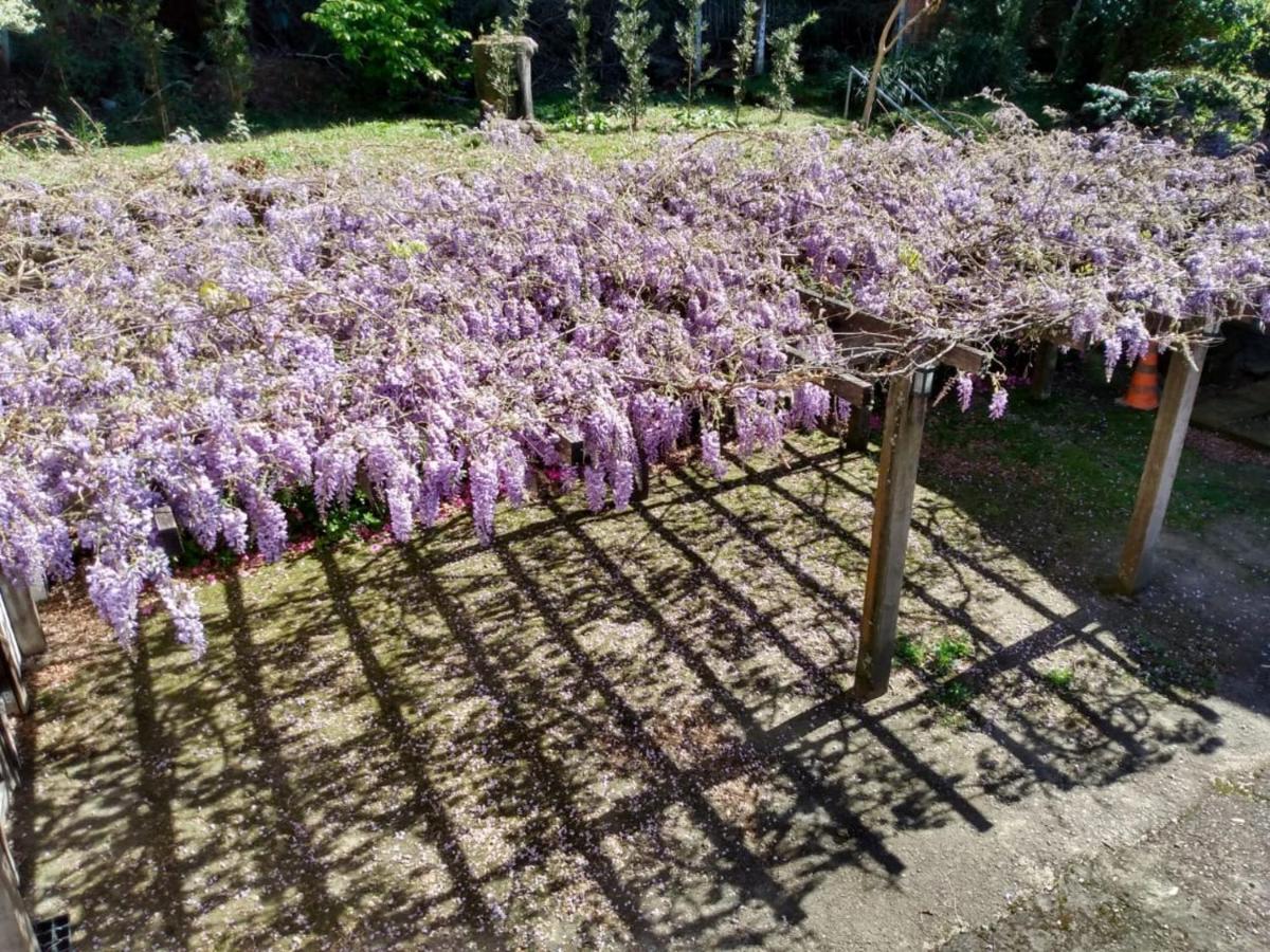 Apartamentos Aromas De Gramado - Bairro Centro 외부 사진